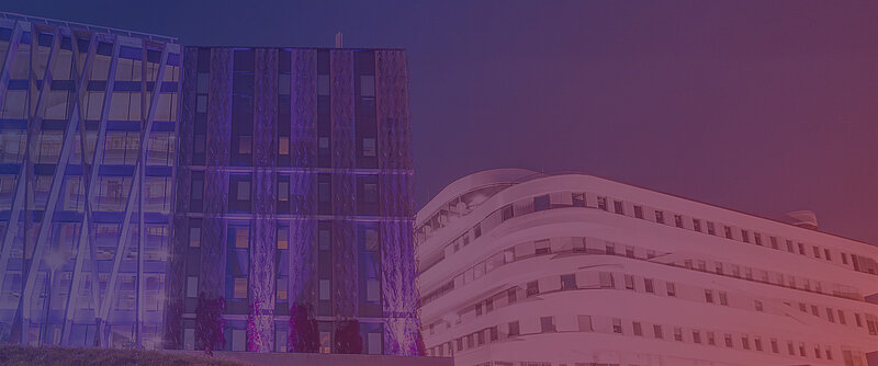 LU 84. starptautiskajā zinātniskajā konferencē diskutēs par universitāšu ietekmi