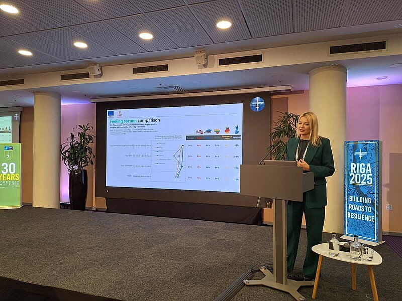 UL researchers contribute to NATO conference discussions on strengthening civil resilience